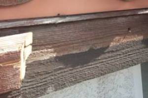 Carpentry Fascia Dryrot Repair - Carpentry