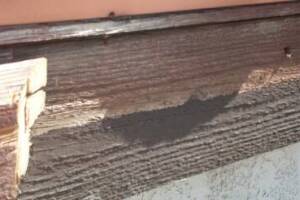 Carpentry Fascia Dryrot Repair - Carpentry