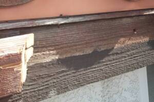 Carpentry Fascia Dryrot Repair - Carpentry