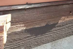 Carpentry Fascia Dryrot Repair - Carpentry