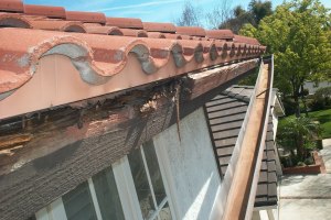 Carpentry Fascia Dryrot Repair - Carpentry