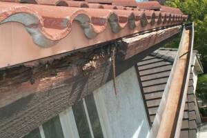 Carpentry Fascia Dryrot Repair - Carpentry