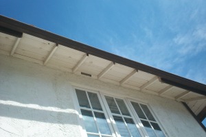 Carpentry Fascia Dryrot Repair - Carpentry