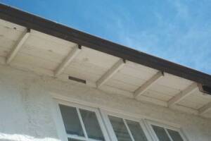 Carpentry Fascia Dryrot Repair - Carpentry