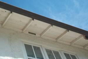 Carpentry Fascia Dryrot Repair - Carpentry