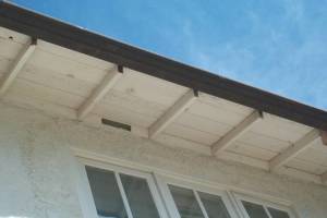 Carpentry Fascia Dryrot Repair - Carpentry