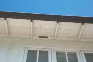 Carpentry Fascia Dryrot Repair - Carpentry