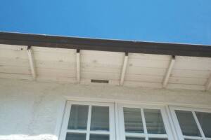 Carpentry Fascia Dryrot Repair - Carpentry