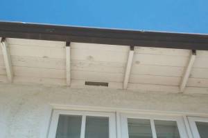 Carpentry Fascia Dryrot Repair - Carpentry