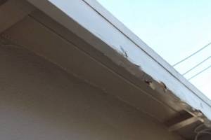 Carpentry Fascia Paint Repair - Carpentry