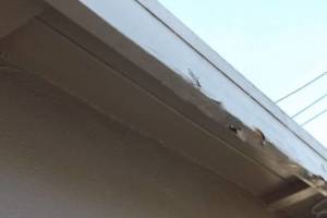 Carpentry Fascia Paint Repair - Carpentry