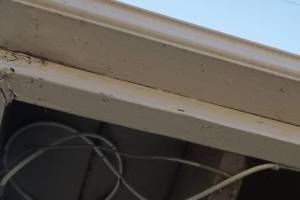 Carpentry Fascia Paint Repair - Carpentry