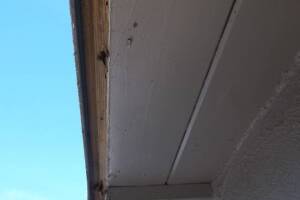 Carpentry Fascia Paint Repair - Carpentry