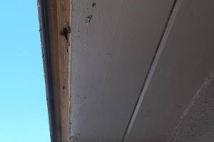Carpentry Fascia Paint Repair - Carpentry