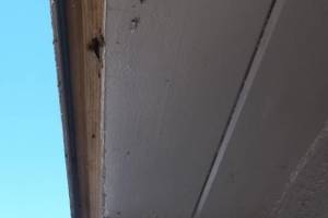 Carpentry Fascia Paint Repair - Carpentry
