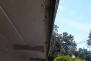 Carpentry Fascia Paint Repair - Carpentry