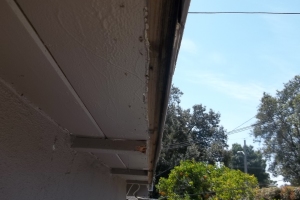 Carpentry Fascia Paint Repair - Carpentry