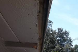Carpentry Fascia Paint Repair - Carpentry