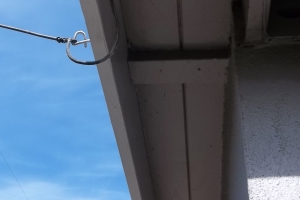Carpentry Fascia Paint Repair - Carpentry