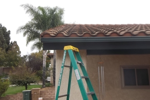 Carpentry Fascia Refinish Repair - Carpentry