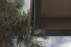 Carpentry Fascia Refinish Repair - Carpentry