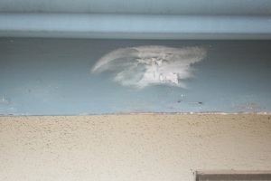 Carpentry Fascia Repaint Repairs - Carpentry