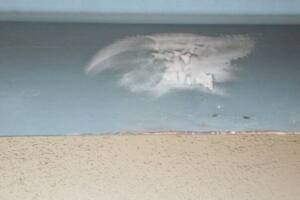 Carpentry Fascia Repaint Repairs - Carpentry