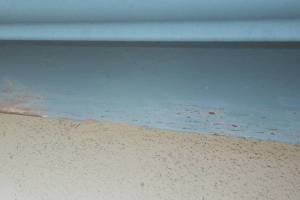 Carpentry Fascia Repaint Repairs - Carpentry