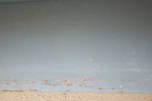 Carpentry Fascia Repaint Repairs - Carpentry