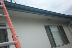Carpentry Fascia Repaint Repairs - Carpentry