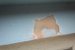 Carpentry Fascia Repaint Repairs - Carpentry
