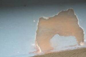 Carpentry Fascia Repaint Repairs - Carpentry