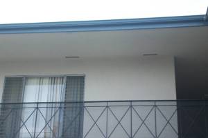 Carpentry Fascia Repaint Repairs - Carpentry