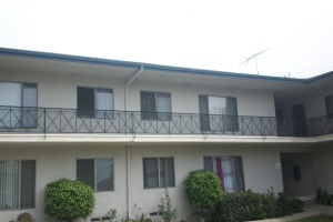Carpentry Fascia Repaint Repairs - Carpentry
