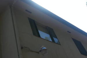 Carpentry Fascia Repaint Repairs - Carpentry