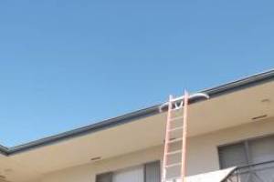 Carpentry Fascia Repaint Repairs - Carpentry