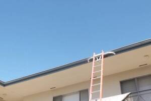 Carpentry Fascia Repaint Repairs - Carpentry