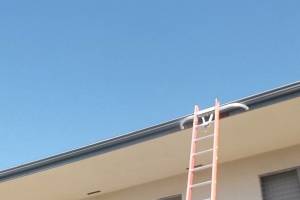 Carpentry Fascia Repaint Repairs - Carpentry