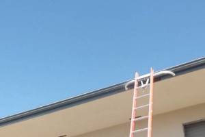 Carpentry Fascia Repaint Repairs - Carpentry