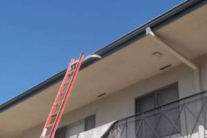 Carpentry Fascia Repaint Repairs - Carpentry