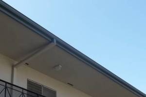 Carpentry Fascia Repaint Repairs - Carpentry