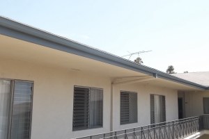 Carpentry Fascia Repaint Repairs - Carpentry