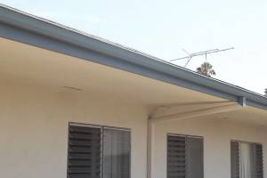 Carpentry Fascia Repaint Repairs - Carpentry