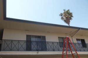 Carpentry Fascia Repaint Repairs - Carpentry