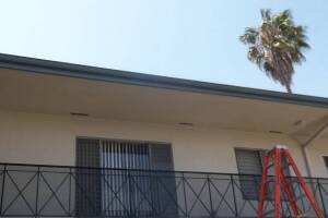 Carpentry Fascia Repaint Repairs - Carpentry