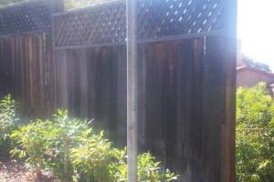 Carpentry Fence Extension Install - Carpentry