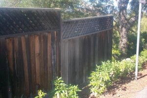 Carpentry Fence Extension Install - Carpentry