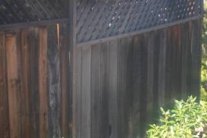 Carpentry Fence Extension Install - Carpentry