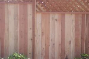 Carpentry Fence Extension Install - Carpentry