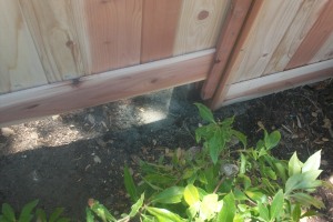 Carpentry Fence Extension Install - Carpentry